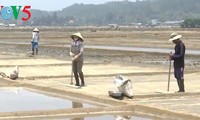 Sa Huynh, un village qui ne manque pas de sel…  