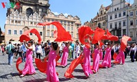Le Vietnam à la fête des minorités ethniques de la République tchèque 2017
