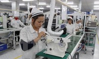 Vietnam-République de Corée : coopération dans la mécanique et l’électronique