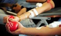 Journée mondiale du donneur de sang célébrée au Vietnam
