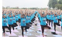 Journée internationale du yoga à Vinh Phuc : 1000 participants