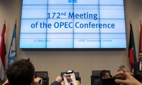 OPEP et non-OPEP prêts à prolonger les baisses de production