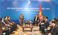 Nguyen Xuan Phuc reçoit des dirigeants d’entreprises étrangères
