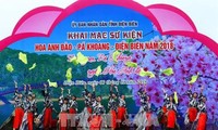 Fleurs de cerisier-Pa Khoang-Dien Bien, coup d’envoi des activités célébrant l’amitié Vietnam-Japon