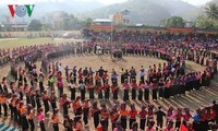 La fête du Têt célébrée en grande pompe au Vietnam