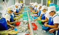 Carton jaune sur les produits de la pêche : Une équipe de la CE au Vietnam 