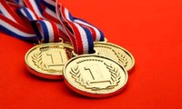 Le Vietnam remporte 7 médailles aux Olympiades d'Informatique d’Asie 2018