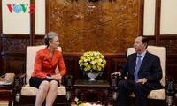 Les ambassadeurs britannique et néerlandais reçus par Trân Dai Quang 