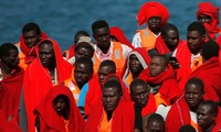 Plus de 600 migrants secourus en mer au large de l'Espagne