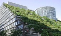 Développer les bâtiments verts