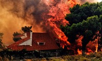 Au moins 50 morts dans de violents incendies en Grèce