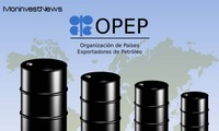L'Opep revoit à la baisse sa prévision de demande de pétrole pour 2019 
