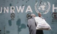 Washington ne va plus financer l'agence de l'ONU pour les réfugiés palestiniens