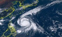 Le typhon Kong-rey fait 2 morts, un disparu et 470 personnes déplacées en République de Corée