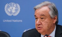 Algérie: l’ONU réagit à la démission de Bouteflika