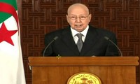 Le président algérien par intérim appelle au dialogue national en excluant l’armée