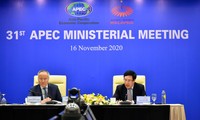 Le Vietnam soutient l’adoption de la Déclaration des dirigeants de l’APEC sur la Vision post-2020