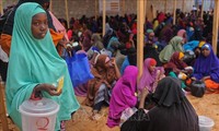 L'ONU accorde 9,5 millions de dollars pour la prévention de la famine en Somalie