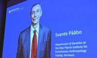 Le prix Nobel de médecine est attribué au paléogénéticien suédois Svante Pääbo