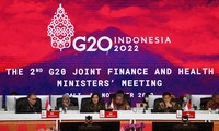 2e réunion conjointe des ministres chargés des finances et de la santé du G20