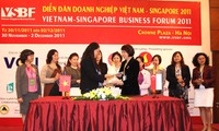 Trao đổi thương mại và đầu tư giữa Singapore và Việt Nam tiếp tục tăng
