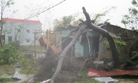 Tiếp tục huy động lực lượng hỗ trợ các địa phương tìm kiếm cứu nạn, khắc phục hậu qủa bão số 10