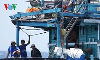 Ngư dân kiên cường bám biển bất chấp sự ngăn cản của tàu Trung Quốc 