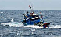 Đại biểu Quốc hội lên án việc tàu Trung Quốc đâm chìm tàu cá của ngư dân Việt Nam