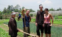 Làm nông dân tại làng rau Trà Quế-Hội An