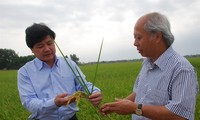Việt Nam phát triển nông nghiệp theo hướng bền vững