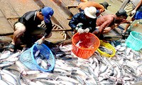 Nâng cao sức cạnh tranh cho thủy sản Việt Nam 