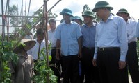 Phó Thủ tướng Vũ Văn Ninh thăm và làm việc tại tỉnh Thái Bình 