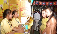 Gần 100 doanh nghiệp tham gia Hội chợ thương mại Việt Nam – Lào 2015