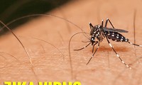 Việt Nam nâng mức cảnh báo đối với hoạt động phòng chống dịch bệnh do vi rút Zika 