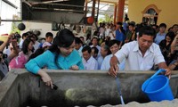Việt Nam triển khai công tác phòng chống dịch Zika