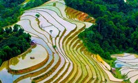 Tạp chí Forbes đưa tin miền Bắc Việt Nam là điểm du lịch rẻ nhất thế giới 
