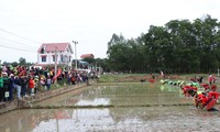 Mùa xuân gieo trồng của làng Việt