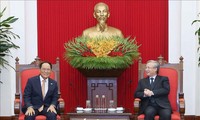 Tăng cường hợp tác Việt Nam – Hàn Quốc trên nhiều lĩnh vực