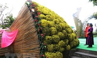 Mô hình bó hoa chậu cúc mâm xôi được xác lập kỷ lục lớn nhất Việt Nam
