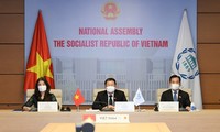 Việt Nam tham dự Phiên họp của Ủy ban Thường trực về Hòa bình và An ninh quốc tế