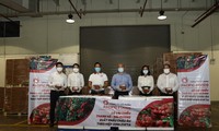 Xuất khẩu lô vải thiều Việt Nam đầu tiên đi Châu âu theo hiệp định EVFTA năm 2021