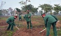 Tết trồng cây Nhâm Dần 2022: tăng cường bảo vệ phát triển rừng