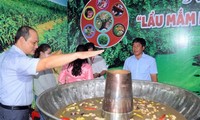 Xác lập hai kỷ lục Việt Nam trong sự kiện “Hương rừng U Minh”