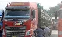 Tỉnh Lạng Sơn hỗ trợ doanh nghiệp xuất khẩu hoa quả tươi chính vụ qua cửa khẩu