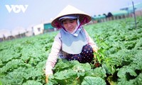 Lâm Đồng tăng giá trị nông sản nhờ liên kết sản xuất theo chuỗi