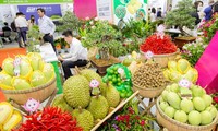 HortEx Vietnam-Triển lãm hàng đầu trong ngành rau, hoa, quả ở Đông Nam Á 