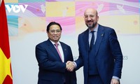 Thúc đẩy quan hệ hợp tác Việt Nam – EU