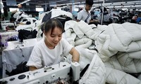 Hàn Quốc – Việt Nam tăng cường hợp tác đầu tư trong lĩnh vực dệt may