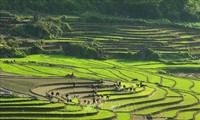 Triển lãm du lịch qua các miền di sản và danh thắng Việt Nam