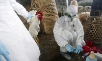 จำนวนผู้ติดเชื้อไวรัสไข้หวัดนก H7N9 ในจีนเพิ่มขึ้นอย่างต่อเนื่อง